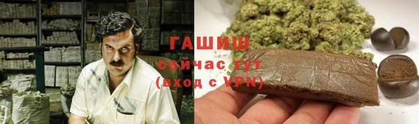 метадон Алексин