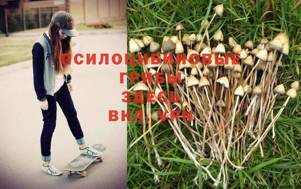 метадон Алексин