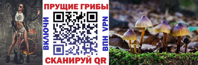 Псилоцибиновые грибы Magic Shrooms  Полярные Зори 